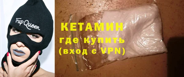 крисы Бородино