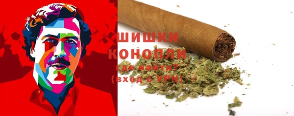 шишки Бугульма