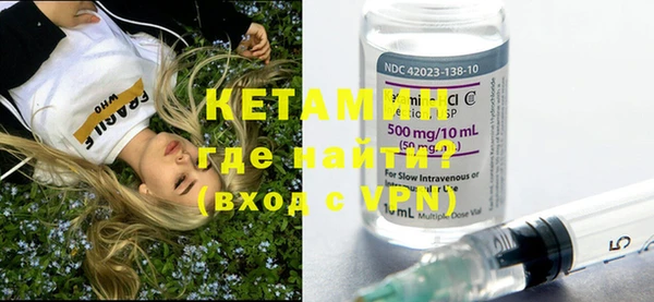 крисы Бородино