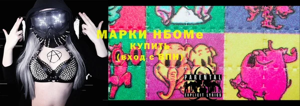 крисы Бородино