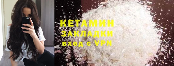 крисы Бородино