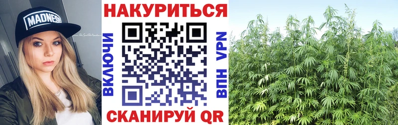 цена   Трубчевск  Бошки Шишки гибрид 